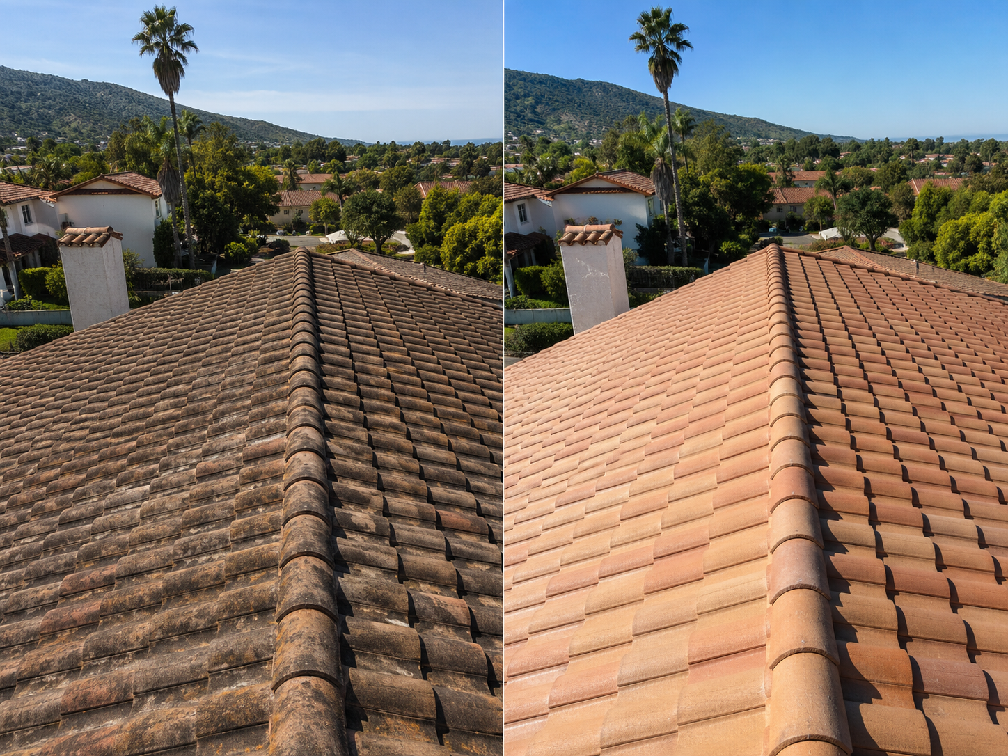 Before and after roof cleaning comparison
